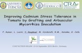 Improving Cadmium Stress Tolerance in Tomato by …...Improving Cadmium Stress Tolerance in Tomato by Grafting and Arbuscular Mycorrhiza Inoculation COST ACTION FA1204: 13-16 September