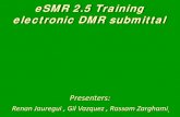 eSMR 2.5 Training electronic DMR submittal · Discharge Monitoring Report (DMR) Overview . 5 . What is a DMR? DMRs are summarized results of your reporting requirements and are based
