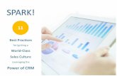 SPARK! - Baker Communications, Inc. · 2016-09-12 · Leveraging the Power of CRM SPARK! 11. ... Performance Indicators (KPIs) that influence strategy and tactics. One of the questions