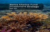 Belize Marine Fund Investment Strategy · BELIZE MARINE FUND INVESTMENT STRATEGY ... 5.5% of the reefs of the Wider Caribbean (World Resources Institute, 2004). The Mesoamerican Reef