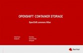 OPENSHIFT CONTAINER STORAGE · 2020-04-28 · 4 BASIC STORAGE NEEDS IN OPENSHIFT REGISTRY STORE Where container base images reside. By default not redundant, therefore possible point