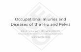 Occupational Injuries and Diseases of the Hip and Pelvis · 2018-10-22 · Occupational Injuries and Diseases of the Hip and Pelvis John C. Schumpert, MD, MPH, FACOEM Resources for