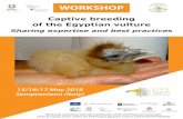 Locandina workshop CB - isprambiente.gov.it · WORKSHOP Captive breeding of the Egyptian vulture Sharing expertise and best practices 15/16/17 May 2018 Semproniano (Italy) Workshop