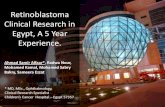 Retinoblastoma Clinical Research in Egypt, A 5 Year ...scholar.cu.edu.eg/asalfaar/files/isgedr_clinical_research_presentatio… · Retinoblastoma Clinical Research in Egypt, A 5 Year