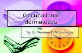 Occupational dermatoseshealth.sbmu.ac.ir/uploads/Occupational_dermatoses.pdfOccupational dermatoses By Dr Peyman H.Mirsadeghy Epidemiology Accounts for 40-50% of occupational illnesses
