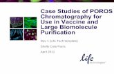 Case Studies of POROS Chromatography for Use in Vaccine ...tools.thermofisher.com/content/sfs/brochures/Case... · Recombinant Human Papillomavirus Type 11 Major Capsid Protein L1
