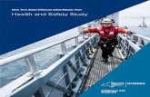 New York State Offshore Wind Master Plan: Health and Safety …€¦ · BOSIET Basic Offshore Safety Induction and Emergency Training . BSEE Bureau of Safety and Environmental Enforcement