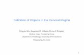 Definition of Objects in the Cervical Region€¦ · 1 Definition of Objects in the Cervical Region Xingyu Wu, Jayaram K. Udupa, Drew A Torigian Medical Image Processing Group Department