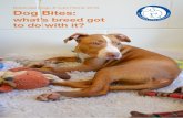Battersea Dogs & Cats Home 2016 Dog Bites · The law was designed to protect the public from dog bites, and yet a quarter of a century later dog bites are still rising. The Dangerous