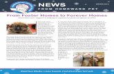 From Foster Homes to Forever Homes - Homeward Pet | Home · 2019-04-04 · From Foster Homes to Forever Homes Learn how your support is helping to expand our foster program in 2016