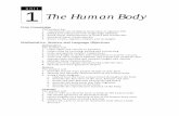 1The Human Body - SEDL · Unit 1 The Human Body 5 LESSON 1 Humans Grow and Change BIG IDEAS Humans grow and change. Difference in measurement shows growth. LESSON 2 Our Cells —