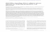 PDGFRα signaling drives adipose tissue fibrosis by ...genesdev.cshlp.org/content/early/2015/05/26/gad.260554.115.full.pdfPDGFRα signaling drives adipose tissue fibrosis by targeting