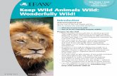 Key Stage 1 Unit (Ages 5–7) Lesson Plans Keep Wild Animals ...€¦ · Introduce ‘Wild’ and ‘Not Wild’ Animals 1. Explain to pupils that they are going to read a magazine