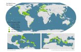 The Global Cruise Port System - The Geography of Transport ...€¦ · Cruise Passengers (2012) 10,000 to 100,000 100,000 to 250,000 250,000 to 500,000 500,000 to 1 million More than
