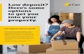 Low deposit? Here’s some options to get you into your ... · Low deposit?Here’s some options to get you into your property. 005-855 301019 Low deposit options guide When buying
