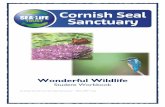 Wonderful Wildlife - Cornish Seal Sanctuary€¦ · Created by the Cornish Seal Sanctuary –SEA LIFE Trust 14 Enjoyed learning with The Cornish Seal Sanctuary? Did you know that