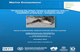 Monitoring the status, trends in abundance and key ...€¦ · Monitoring the status, trends in abundance and key demographic rates of the Australian sea lion population at Seal Bay