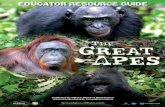 Film Synopsis - nWave€¦ · Film Synopsis The Great Apes 3D brings us face to face with some of the world’s rarest primates. Featuring chimpanzees, bonobos, orangutans, and the