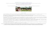 Elpidohori Permaculture Design Course - Transition Network€¦ · Elpidohori Permaculture Design Course ... The course starts with an introduction to permaculture: its values, principles