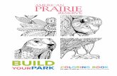 build - americanprairie.org · build yourpark coloring book for ages 12 and up with artwork by Erica Freese. American Prairie Reserve is a nonprofit creating the largest nature reserve