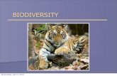 BIODIVERSITY€¦ · Extinction and Species Endangerment Endangered and Threatened Species What courses species endangerment Conservation Biology Conservation Policies and Laws Wildlife