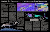 Multiple threats to Himalayan biodiversity€¦ · 940 species of birds, 316 spe-cies of ﬁ shes, 200 species of reptiles and 80 species of amphibians. This put togeth- er accounts
