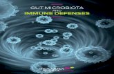 AND IMMUNE DEFENSES - Biocodex€¦ · HORMONAL INFLUENCE Hormones and gut microbiota could be associated with autoimmune diseases and impact the immune response. The gut microbiota