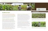 Forages for the Future - WordPress.com · Forages for the Future IN THIS ISSUE IN THIS ISSUE . FORAGES FOR THE FUTURE | Issue 7 2 PRIORITIZING LEGUMES & GRASSES Jean Hanson What is