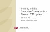 Ischemia with No Obstructive Coronary Artery Disease: 2019 ... · •Recognize the prevalence and prognosis of ischemia with no obstructive coronary artery disease (INOCA). •Identify