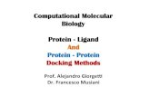 Computational Molecular Biology Protein - Ligand And ...molsim.sci.univr.it/2013_biocomp/Docking.pdf · Computational Molecular Biology Protein - Ligand And Protein - Protein Docking