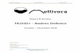 TILO3Z+ - Andres Defencemarketing.andres-industries.de/TILO/Challenge/MelSys-Tilo3 report-2… · Mellivora Systems contacted Andres Defence regarding the Tilo Challenge advertised