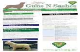 aUGUst 2016 Guns N Sashes - Wild Apricot€¦ · Guns N Sashes Newsletter established 1967 aUGUst 2016 GoldeN retriever ClUb of viCtoria iNC What makes a newsletter successful is