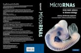 RNAs Micro - GeneExpression Systems, Inc.expressgenes.com/All Book cover pdfs/MicroRNAs Book Cover.pdf · Micro RNAs rom Basic Science to Disease Biology Edited by rishnaraoppasani