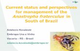 Current status and perspectives for management of the ... · Current status and perspectives for management of the Anastrepha fraterculus in South of Brazil Adalecio Kovaleski Embrapa