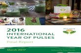 INTERNATIONAL YEAR OF PULSES - Pulse Canada€¦ · The United Nations’ designation of 2016 as the International Year of Pulses (IYP) helped raise awareness of the important role