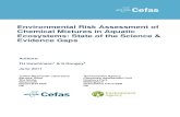 Environmental Risk Assessment of Chemical Mixtures in ...randd.defra.gov.uk/...CefasEA2011ChemicalmixturesreportforDefra... · 1.4 In terms of retrospective risk assessment of real