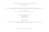Firms' Resilience to Supply Chain Disruptions Milad Baghersad€¦ · Firms' Resilience to Supply Chain Disruptions Milad Baghersad ABSTRACT This dissertation consists of three papers