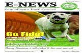 Go Fido! - Peacehaven€¦ · Go Fido! Plus. 2 Tel: 01273 585493 Peacehaven Town Council TASK FORCE Peacehaven Task Force has been working hard at Howard Park and was joined by the