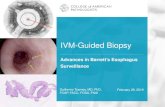 IVM-Guided Biopsy - College of American Pathologists · Thank you for attending our webinar “IVM Guided Biopsy: Advances in Barrett’s Esophagus Surveillance” by . Guillermo