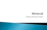 Shinta Rosalia Dewishintarosalia.lecture.ub.ac.id/files/2012/09/Kimpang_Mineral_SRD.pdf · fluid and electrolyte balance ... essential nutrient involved in carb and lipid metabolism