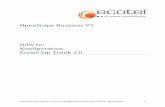 OpenScape Business V2 How to: Konfiguration Ecotel Sip Trunk 2 · Open Scape Business V2 – How To: Konfiguration Ecotel Sip Trunk 2.0 - Deutschland 6 Auf dieser Seite werden die