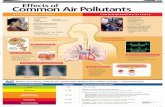 Effects of Common Air Pollution, 2011 - epa.gov€¦ · Effects of Common Air Pollutants Normal heart rhythm Abnormal heart rhythm Alveoli filled with trapped air Normal Rupture-prone