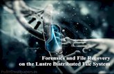 Distributed File Recovery on the Lustre Distributed File ... · Distributed File Recovery on the Lustre Distributed File System 10 How are objects distributed on each OST? • OSTs
