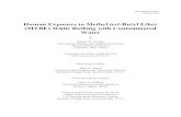 Human Exposure to Methyl tert-Butyl Ether (MTBE) while ... · the 30-minute elimination monitoring period. In all cases, except for one subject, the measured levels throughout the