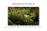 Woodland Gardens - North Country MGV · • Avoid damaging tree roots – do not add soil on top of tree roots – gently plant between roots – do not cut into roots 2” or larger