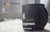 2018-04-08 Reading the Tea Leaves TTL · Terminology MDM: Mobile Device Management DEP: Device Enrollment Program HFS+: Hierarchical File System or Mac OS Extended; the default ﬁle