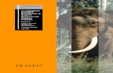 Assessment of China's Management of Trade in Elephants ... · An Assessment of China's Management of Trade in Elephants and Elephant Products Prepared by Caitlin O'Connell-Rodwell