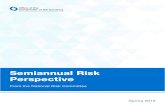 Semiannual Risk Perspective · Semiannual Risk Perspective also highlights the risks posed by strategic risk, ... added, putting the economy on pace to add more than 2 million jobs