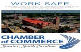Sumter RE-OPEN GuideFINALPRINT · 3 As the voice of business in Sumter, SC, we advocate for a return to economic activity in accordance with public health and safety, as well as in