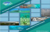 BOBLME-2015-Ecology-36 · 2015-11-22 · BOBLME (2015) Situation analysis of the Myeik Archipelago, BOBLME-2015-Ecology-36. Situation analysis of the Myeik Archipelago. The situation